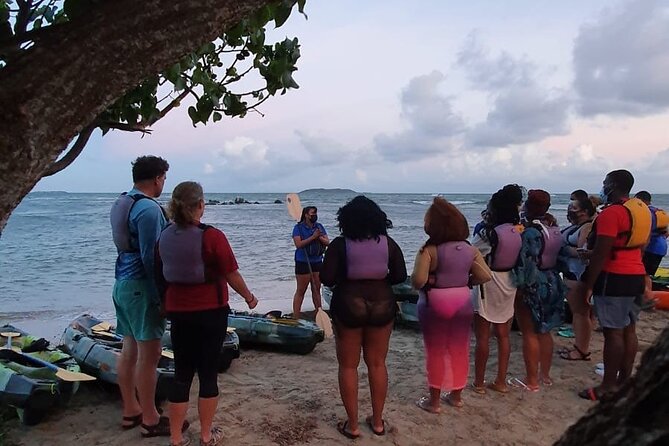 Fajardo Bioluminescent Bay Night Kayak Adventure from San Juan - Is $109 a fair price?