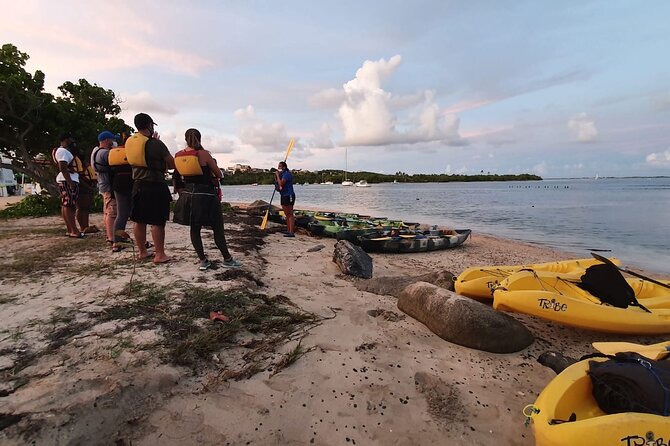 Fajardo Bioluminescent Bay Night Kayak Adventure from San Juan - Weather, cancellation, and practical planning