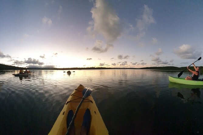 Fajardo Bioluminescent Bay Night Kayak Adventure from San Juan - Getting ready at the kayaking village