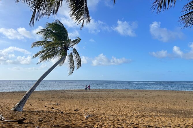 Fajardo Ceiba Ferry Marina Taxi to San Juan Taxi Transportation - Who should book this transfer