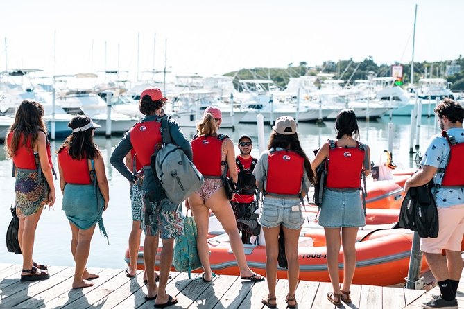 Fajardo Mini Boat Snorkel Safari - Should You Book the Fajardo Mini Boat Snorkel Safari?