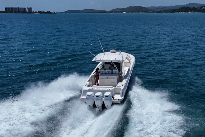 Fajardo Puerto Rico Island Adventure Private Boat Tour - Who will get the most from this boat day