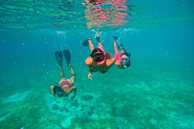 Fajardo, Puerto Rico: Morning Snorkeling Beach Tour - Two reefs and a beach in one Fajardo morning