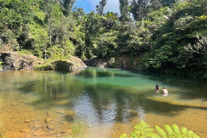 Famous Guavate Pork Road & Charco Azul Food & River Tour - What to bring for a better day