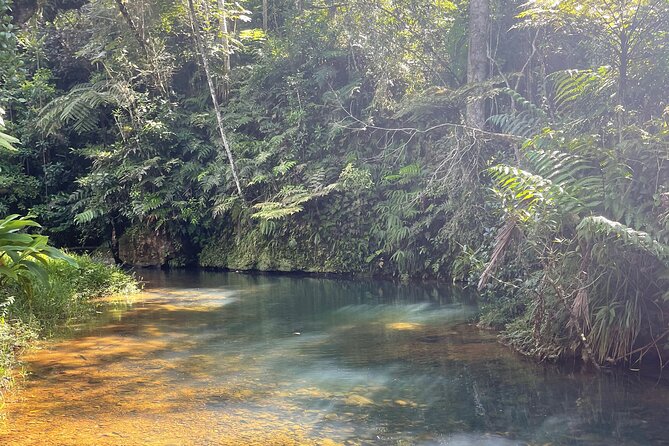 Famous Guavate Pork Road & Charco Azul Food & River Tour - Cancellation and practical details