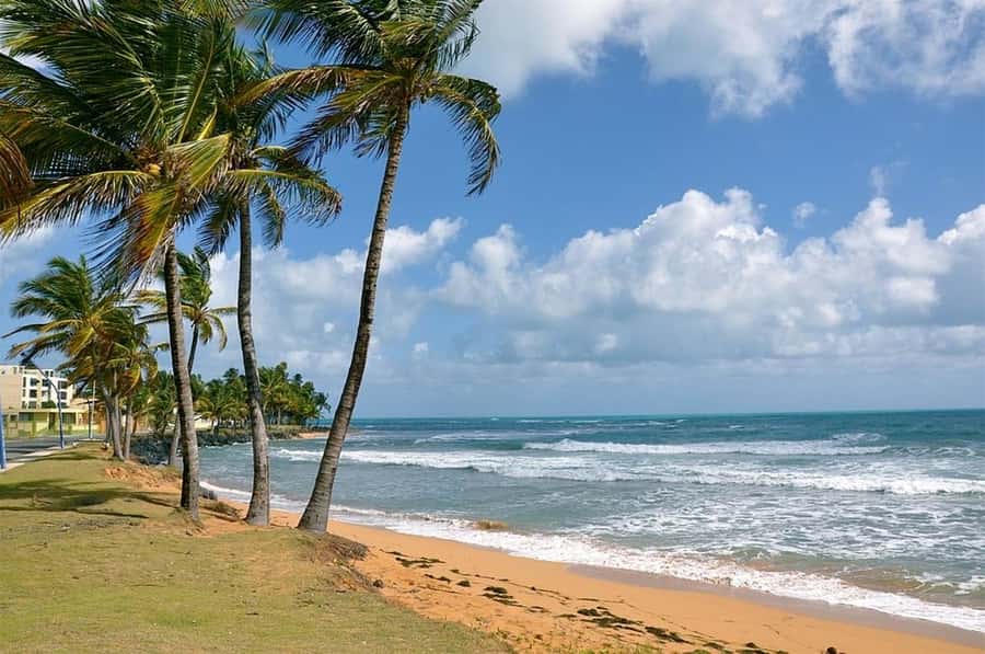 From Fajardo: Boat and Snorkeling in Culebra Island with All-Inclusive - Is $169 a fair price?