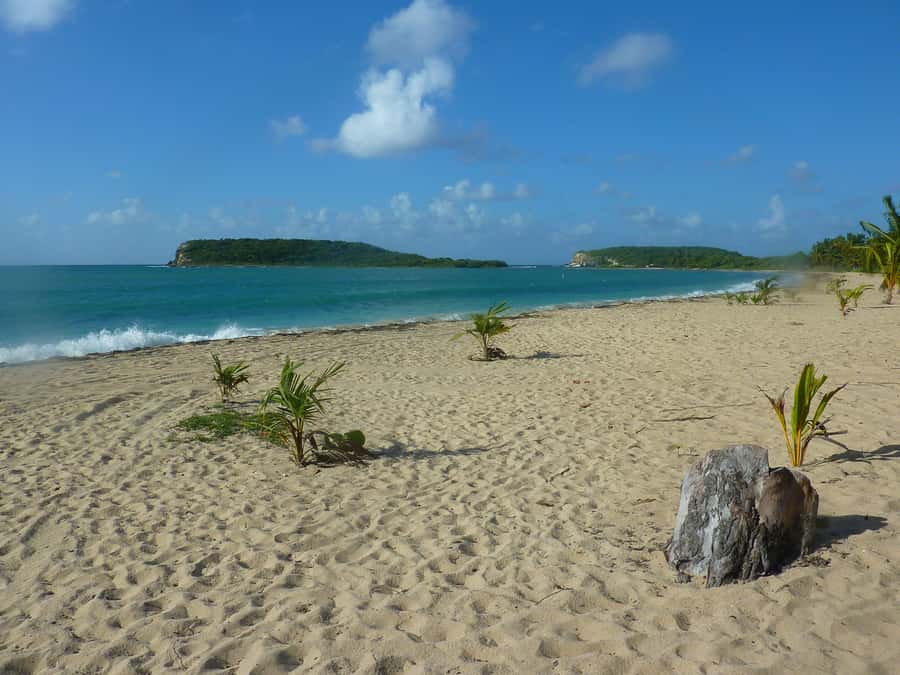 From Fajardo: Boat and Snorkeling in Culebra Island with All-Inclusive - Final verdict: a strong full-day choice from Fajardo