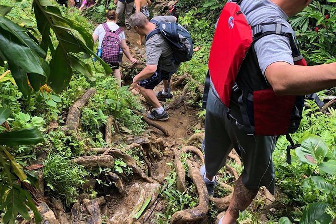 From San Juan: El Yunque Rainforest Hiking Adventure - Why the guides matter so much