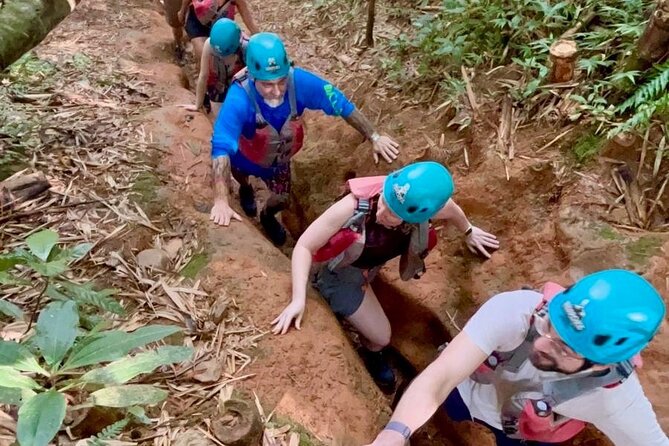 From San Juan: El Yunque Rainforest Hiking Adventure - What the $93 price covers