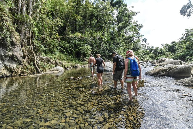 From San Juan: El Yunque Rainforest Hiking Adventure - The first river trail and collecting pool
