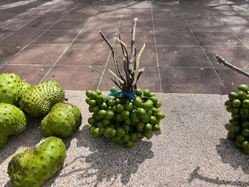 From San Juan: Full-Day Cultural Road Trip to Ponce - Choosing between Ponce’s optional attractions