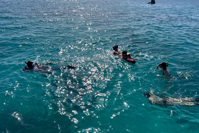 Full Charter All Inclusive for Icacos and Palomino - The shorter visit to Palomino