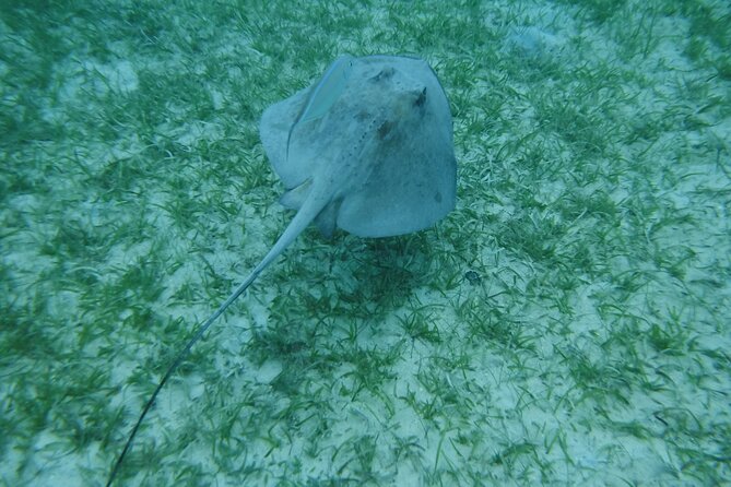 Full Day Charter from Fajardo to Culebra - Weather changes and the Culebra backup