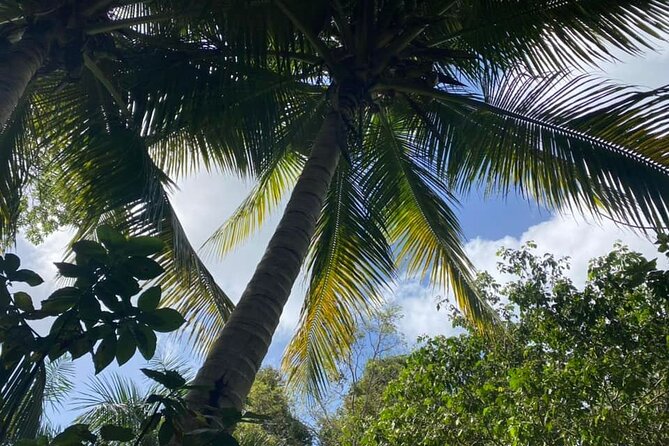 Full Day Eastern Island Tour - Private transportation changes the feel of the day
