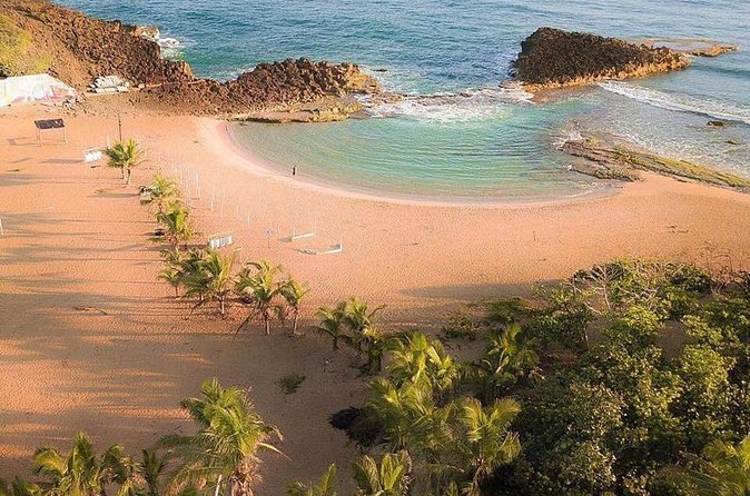 Full-Day Gozalandia Private Tour in Puerto Rico - The pace, pickup, and practical rhythm of the day