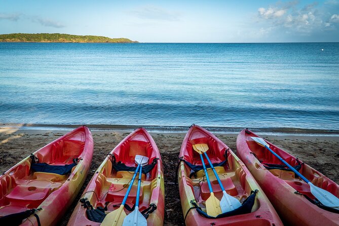 Full-Day Kayak Adventure – Explore Fajardo’s Crystal-Clear Waters - A self-guided way to see Fajardo from the water