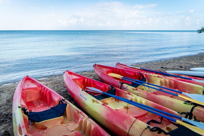 Full-Day Kayak Adventure – Explore Fajardo’s Crystal-Clear Waters - What the two-person kayak means on the water