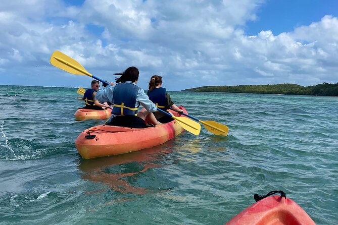 Full-Day Kayak Adventure – Explore Fajardo’s Crystal-Clear Waters - Following coves, mangroves, and reachable beaches