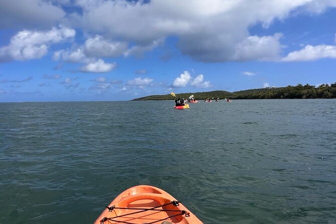 Full-Day Kayak Adventure – Explore Fajardo’s Crystal-Clear Waters - How to shape a three-to-seven-hour outing