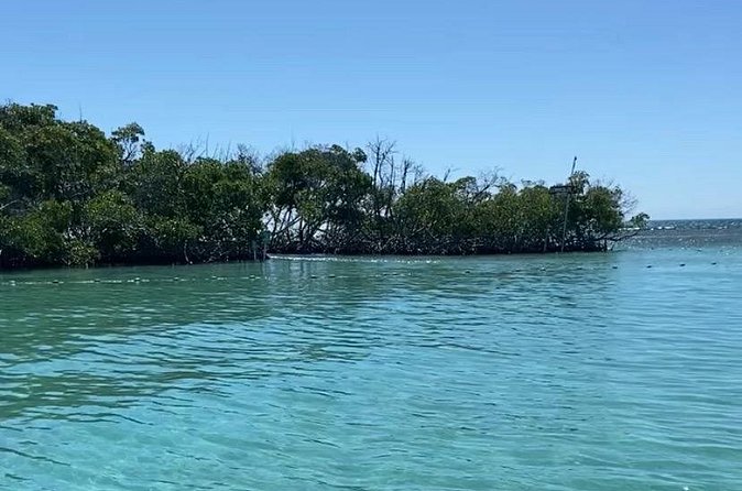 Full-Day Private Cruise in Cayo Caracoles - What Mareaito Charters provides