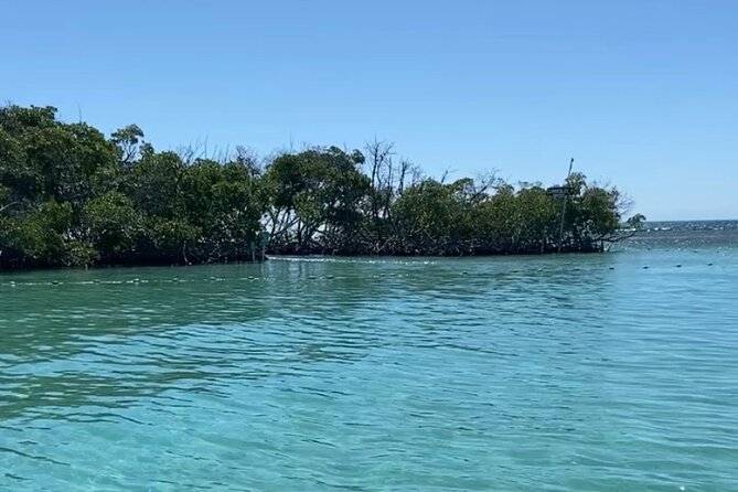Full-Day Private Cruise in Cayo Caracoles - Meeting in Lajas at 10:00 am