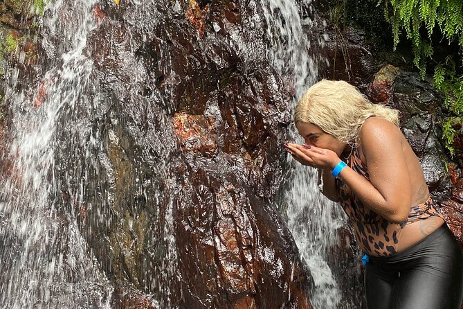 Full-Day Private Tour to Tinajas Waterfalls in El Yunque - Tinajas Waterfalls: A River Day, Not Just a Viewpoint