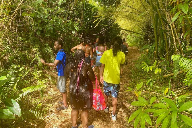Full-Day Private Tour to Tinajas Waterfalls in El Yunque - Guides Who Shape the Day
