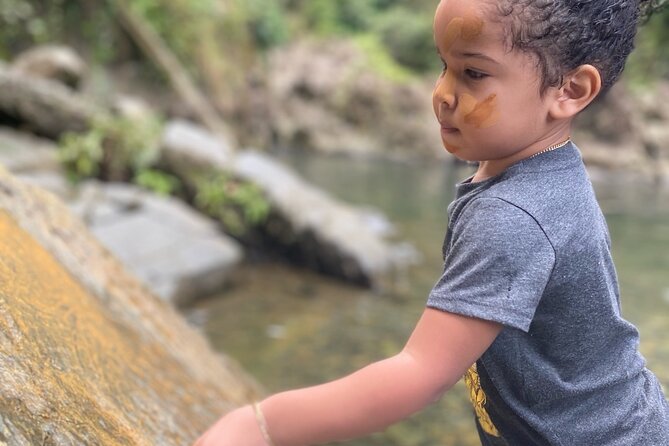 Full-Day Private Tour to Tinajas Waterfalls in El Yunque - Luquillo Lunch Adds a Local Finish