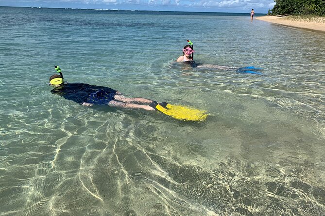 Full-Day Snorkeling Gear Rental in Puerto Rico - Who will get the most from this rental