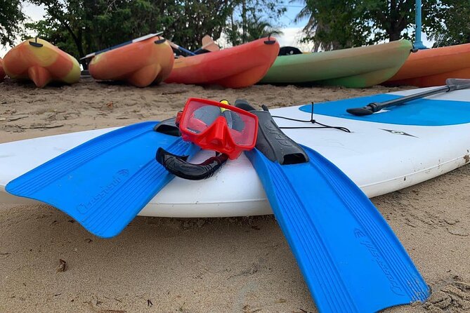 Full-Day Snorkeling Gear Rental in Puerto Rico - Timing, weather, and the practical details