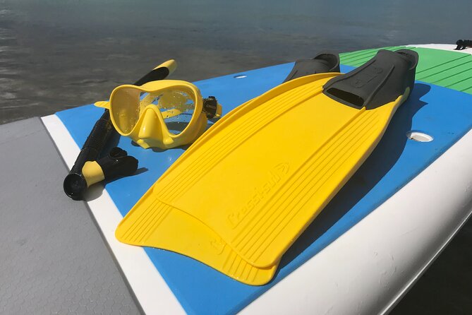 Full-Day Snorkeling Gear Rental in Puerto Rico - Getting oriented before you enter the water