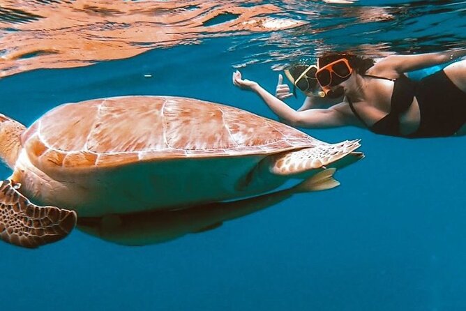 Full-Day Snorkeling Tour to Culebra Island with Lunch - The crew and the feel of the experience