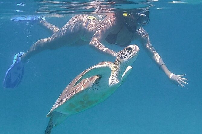 Full-Day Snorkeling Tour to Culebra Island with Lunch - Is $168.37 a fair price?