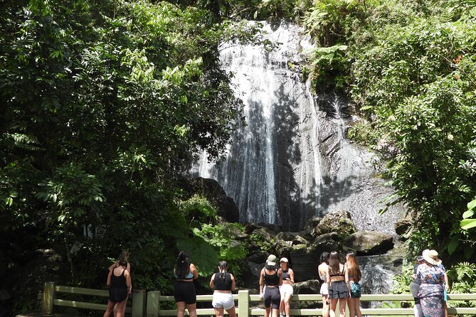 Full-Day Tour: El Yunque, Luquillo Beach, Bio Bay Night Kayaking - Key things to know before booking