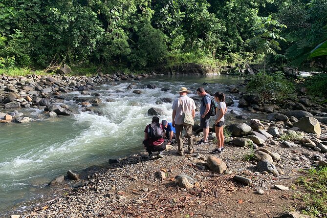 Full-Day Tour: El Yunque, Luquillo Beach, Bio Bay Night Kayaking - Puente Roto and the short forest walk