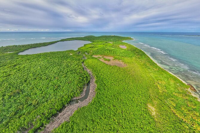 Full-Day Tour: El Yunque, Luquillo Beach, Bio Bay Night Kayaking - Luquillo gives you food, beach time, and a long pause