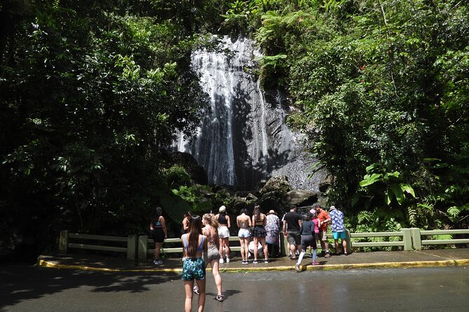 Full-Day Tour: El Yunque, Luquillo Beach, Bio Bay Night Kayaking - Moonlight and weather can change the spectacle