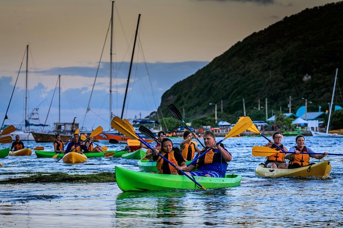 Full-Day Tour: El Yunque, Luquillo Beach, Bio Bay Night Kayaking - La Coca Falls gives you the classic El Yunque view