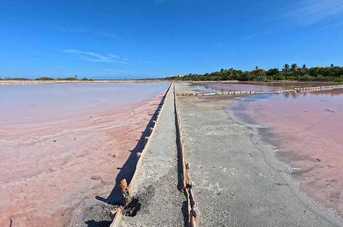 Full Day Vamos Pa la Isla Southwest Experience - Guanica’s dry forest and Playa Jaboncillo