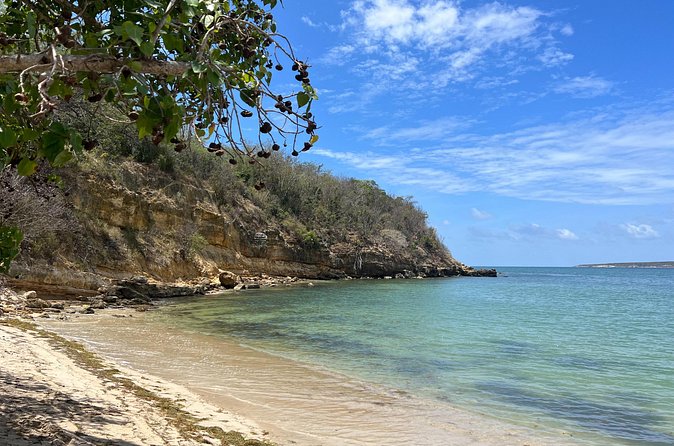 Full Day Vamos Pa la Isla Southwest Experience - What the $300 price really covers