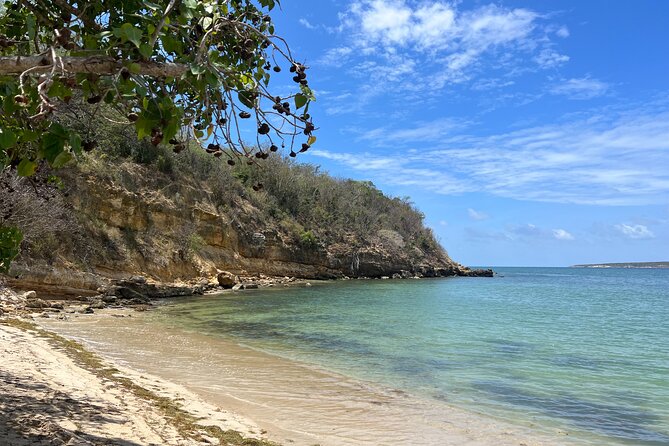 Full Day Vamos Pa la Isla Southwest Experience - Yauco, coffee, and colorful streets