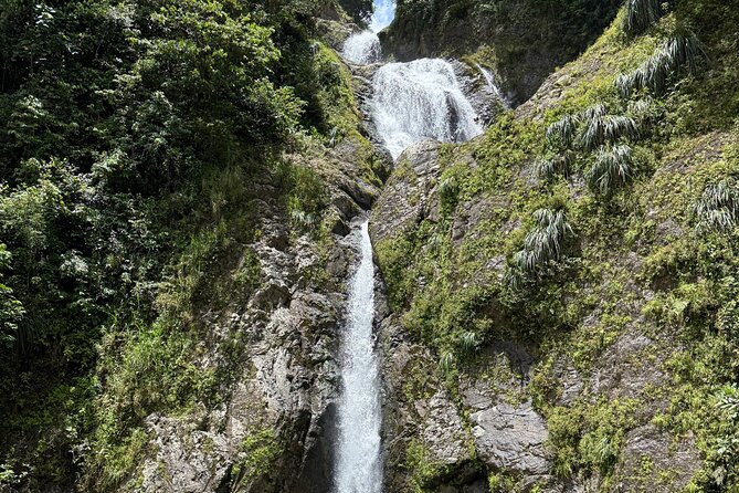 Full Day Waterfalls of Puerto Rico: Central Mountains Escape - Rio La Planta offers an easy five-minute walk