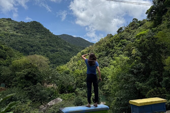 Full Day Waterfalls of Puerto Rico: Central Mountains Escape - Toro Negro State Forest fills out the middle of the day