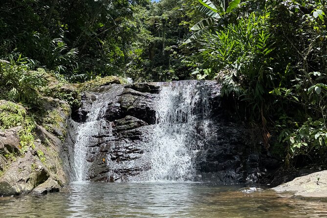Full Day Waterfalls of Puerto Rico: Central Mountains Escape - Chorro de Doña Juana starts the waterfall trail