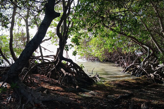 Full Day West Coast Adventure in Puerto Rico - Cabo Rojo Lighthouse brings the strongest views