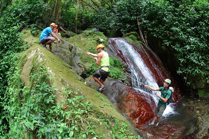 Full-Day Zipline and Waterfall Rappelling Adventure Near San Juan - The uphill river hike through Carite State Forest