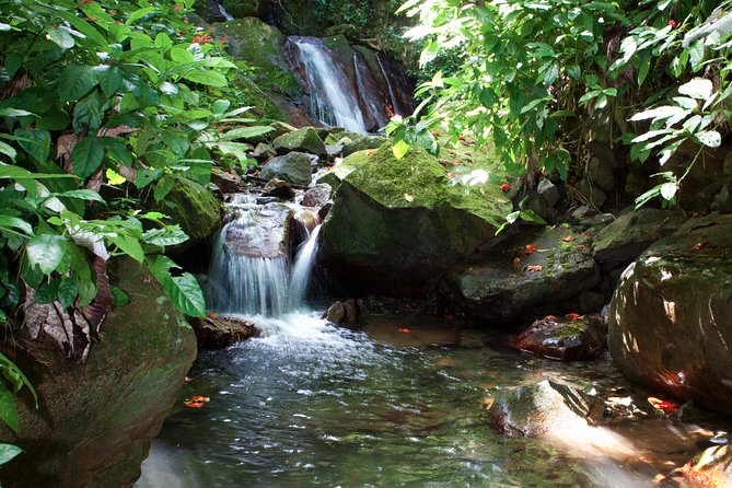 Full-Day Zipline and Waterfall Rappelling Adventure Near San Juan - Several short ziplines back toward basecamp