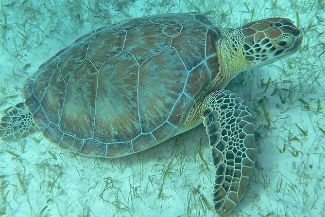 Get SCUBA Certified at San Juan - Equipment, comfort, and the beach setting