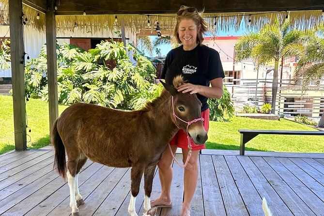 Guided Hike with Miniature Donkeys to a Secluded Beach - Why this Isabela hike is different