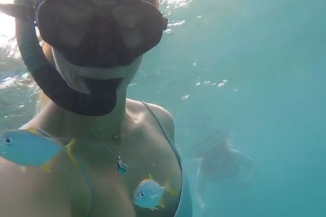 Guided Snorkeling adventure in San Juan - Starting at the Caribe Hilton beach